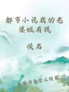 都市小说我的老婆贼有钱